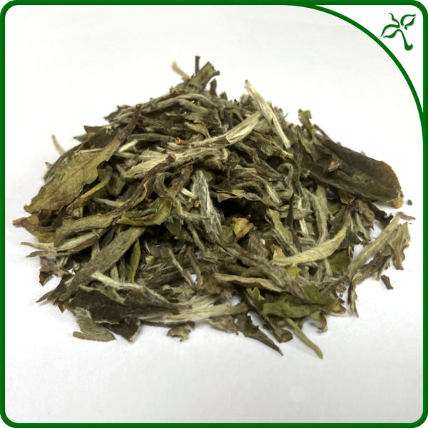 Bai Mu Dan White Tea - 2017